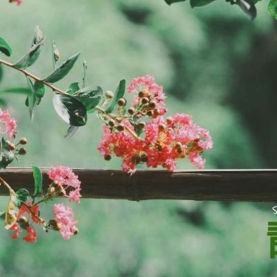 万博(ManBetx)手机app下载截图